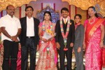 Raj TV MD Daughter Marriage Reception - 28 of 53