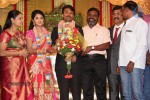 Raj TV MD Daughter Marriage Reception - 31 of 53