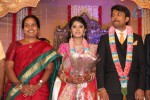 Raj TV MD Daughter Marriage Reception - 32 of 53