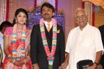 Raj TV MD Daughter Marriage Reception - 35 of 53