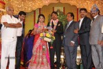 Raj TV MD Daughter Marriage Reception - 36 of 53