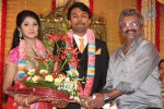 Raj TV MD Daughter Marriage Reception - 37 of 53