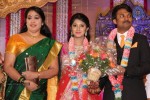 Raj TV MD Daughter Marriage Reception - 41 of 53