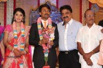 Raj TV MD Daughter Marriage Reception - 42 of 53
