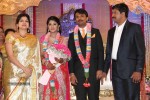 Raj TV MD Daughter Marriage Reception - 43 of 53