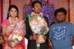 Raj TV MD Daughter Marriage Reception - 44 of 53