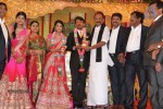Raj TV MD Daughter Marriage Reception - 45 of 53