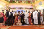 Raj TV MD Daughter Marriage Reception - 47 of 53