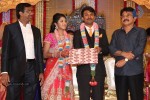Raj TV MD Daughter Marriage Reception - 48 of 53