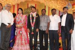Raj TV MD Daughter Marriage Reception - 49 of 53