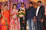 Raj TV MD Daughter Marriage Reception - 51 of 53