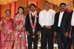 Raj TV MD Daughter Marriage Reception - 53 of 53