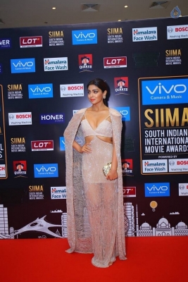 SIIMA Awards 2017 Day 2 Photos - 54 of 63