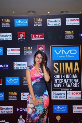 SIIMA Awards 2017 Pics - 17 of 36