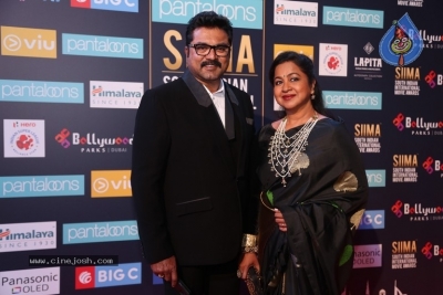 SIIMA Awards 2018 Day 2 Red Carpet - 10 of 59
