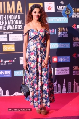 SIIMA Awards 2018 Day 2 Red Carpet Set 2 - 17 of 25