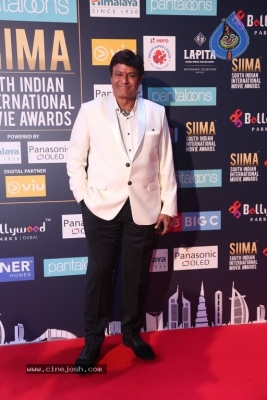SIIMA Awards 2018 Day 2 Red Carpet Set 2 - 19 of 25