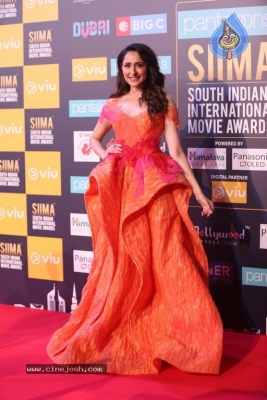 Siima Awards 2018 Red Carpet Day 01 - 32 of 102