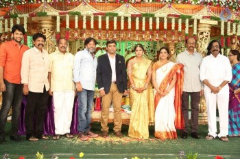 Siva Nageswara rao Daughter Wedding Photos 2 - 99 of 109