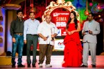 South Indian International Movie Awards 2014 - 62 of 255