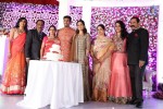 Sunil and Leela Wedding Reception - 20 of 96
