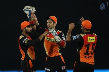 Sunrisers vs Royal Challengers Match Photos - 40 of 41