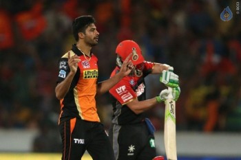 Sunrisers vs Royal Challengers Match Photos - 41 of 41