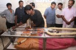 Tamil Director Ramanarayanan Condolences Photos - 5 of 151