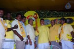 tdp-mahanadu-2013-photos