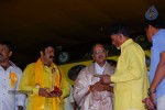 tdp-mahanadu-2013-photos