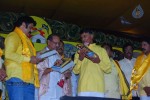 tdp-mahanadu-2013-photos