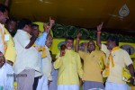 tdp-mahanadu-2013-photos