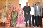 TG Thyagarajan Son Wedding Reception - 2 of 58