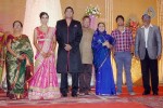TG Thyagarajan Son Wedding Reception - 5 of 58