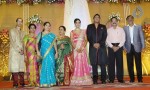 TG Thyagarajan Son Wedding Reception - 10 of 58
