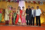 TG Thyagarajan Son Wedding Reception - 12 of 58