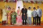 TG Thyagarajan Son Wedding Reception - 13 of 58