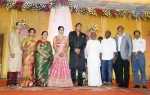 TG Thyagarajan Son Wedding Reception - 14 of 58