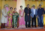 TG Thyagarajan Son Wedding Reception - 17 of 58