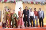 TG Thyagarajan Son Wedding Reception - 19 of 58