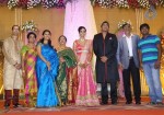 TG Thyagarajan Son Wedding Reception - 23 of 58