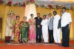 TG Thyagarajan Son Wedding Reception - 24 of 58