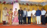 TG Thyagarajan Son Wedding Reception - 26 of 58