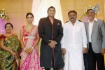 TG Thyagarajan Son Wedding Reception - 27 of 58