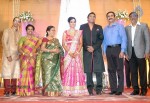 TG Thyagarajan Son Wedding Reception - 30 of 58