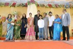 TG Thyagarajan Son Wedding Reception - 32 of 58