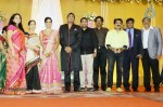 TG Thyagarajan Son Wedding Reception - 43 of 58