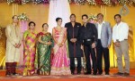 TG Thyagarajan Son Wedding Reception - 46 of 58