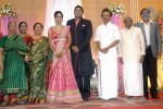 TG Thyagarajan Son Wedding Reception - 48 of 58