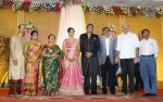 TG Thyagarajan Son Wedding Reception - 49 of 58